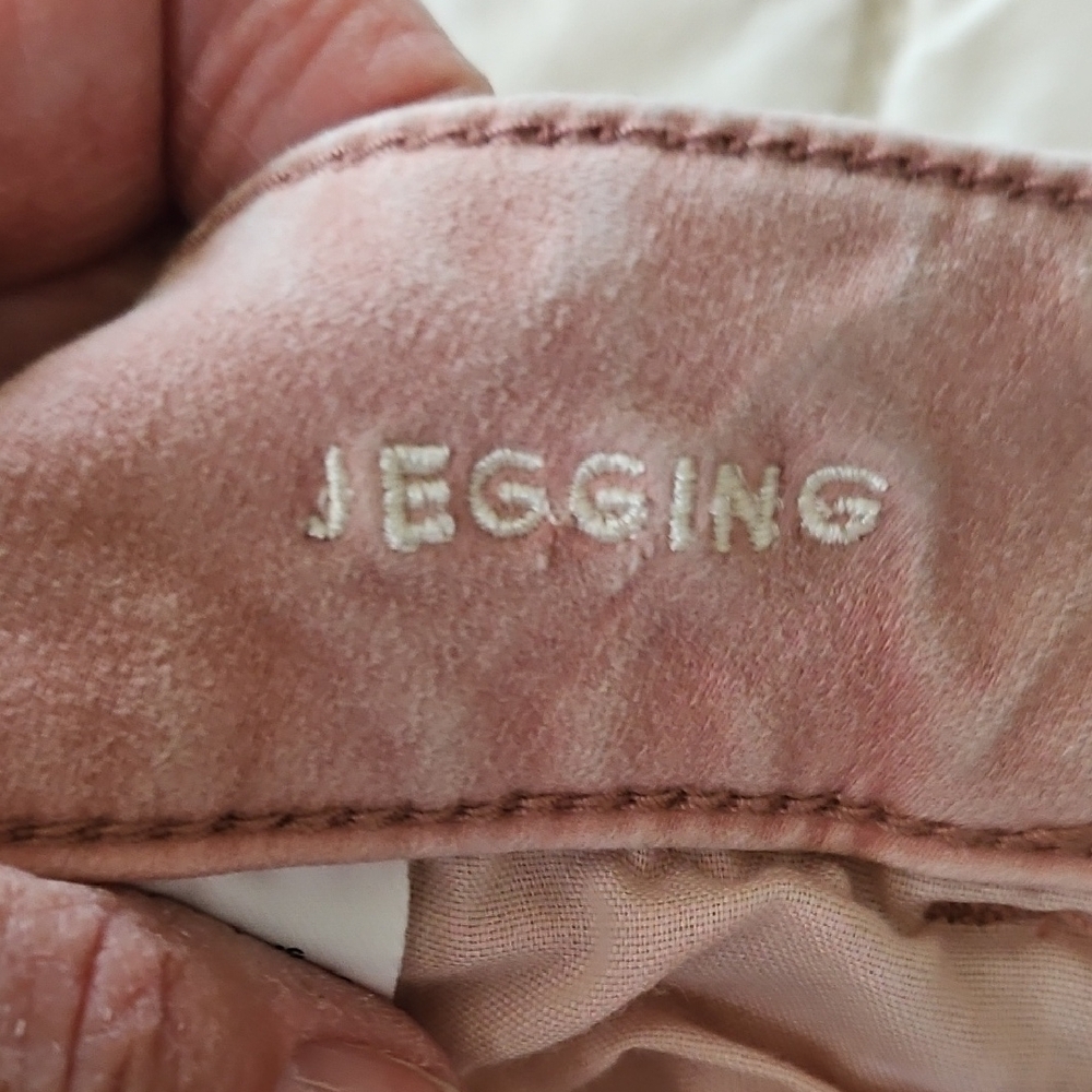 American Eagle -Dusty Rose Sateen - 360 Super Stretch Jeggings- Size 12 XLong - Picture 9 of 10